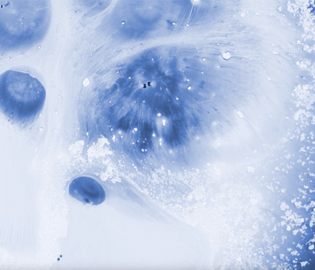 Cellarity